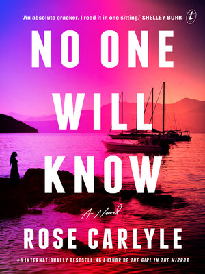 cover image of No One Will Know